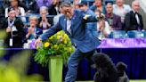 Miniature poodle named Sage wins Westminster Kennel Club dog show