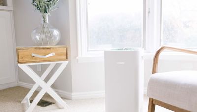 Our Ultimate Guide to the 9 Best Air Purifiers for Every Space