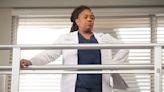 'Grey's Anatomy' Boss Breaks Down the Season 20 Premiere