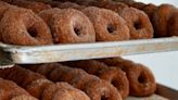 Hudson Valley Cider Donuts? Why Renegades will take field with alternate identity