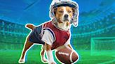 Google's new AI search tools keeps claiming dogs played in the NFL