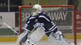 Morris County Secondary School Ice Hockey League postseason honors