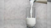 Dia do leite: qual é a diferença entre leite, creme de leite e leite condensado