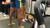 Big dog on MRT: 'I was worried it would suddenly attack us as my baby was in the pram'