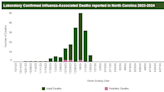 NC flu deaths reach 176 as respiratory illness cases continue downward trend