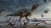 A fossil hunter found Europe's "largest predatory dinosaur," scientists say