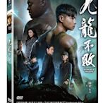 [影音雜貨店] 台聖出品 – 九龍不敗 DVD – 由張晉、洗力山、鄭嘉穎、劉心悠、鄧麗欣主演 – 全新正版