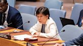 UN Security Council calls for responsible arms transfers amid Ukraine-Russia war