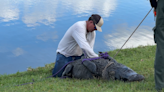 10-foot alligator kills 85-year-old woman in Florida