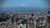 Why is a Japanese town trying to block its most famous view?