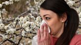 Hay fever sufferers on alert as pollen levels soar amid medicine shortage