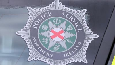 Man arrested on suspicion of Co Down creeper-style burglary