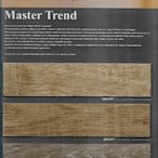 Green-Trend品牌Master Trend系列~大尺寸淺導角木紋塑膠地板每坪$2500元起~時尚塑膠地板賴桑