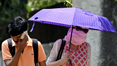 Delhi’s month-long battle with heatwaves continues as heat index soars past 50°C; monsoon nowhere in sight | Business Insider India