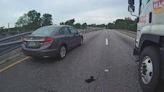 Watch: Kitten rescued from middle of Florida highway - UPI.com