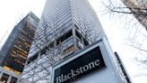 Blackstone proposes 'hyperscale' data centre in northern England