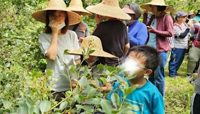 食農教育變身互動遊戲！線上答題抽現金家電 總獎金逾10萬 | 生活 | Newtalk新聞