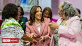 Divine Nine: a irmandade de mulheres negras que pode ser 'arma secreta' de Kamala Harris