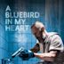 A Bluebird in My Heart