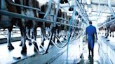 Increases to Fonterra Co-operative Group Limited's (NZSE:FCG) CEO Compensation Might Cool off for now