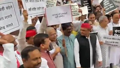 'Compulsion Of Govt Visible In Budget,' Say Opposition Leaders As INDIA Bloc Holds Protest In Parliament Complex