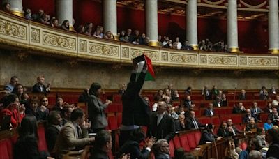 French lawmaker suspended for waving Palestinian flag