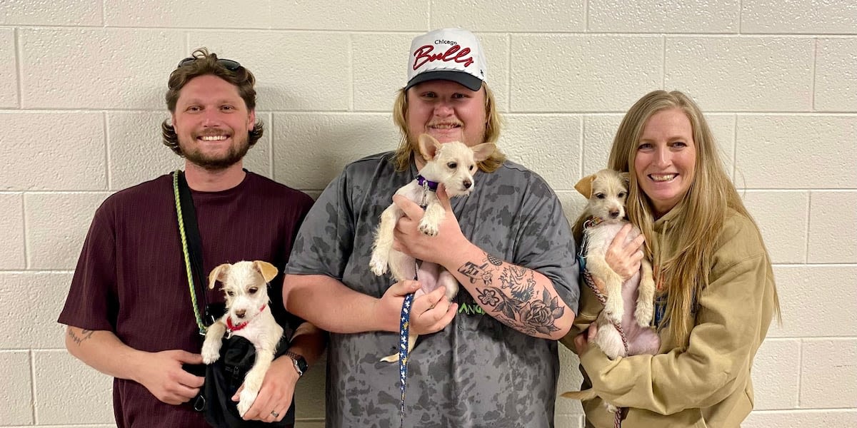 Tyler Childers’ road crew adopts 3 shelter puppies while touring