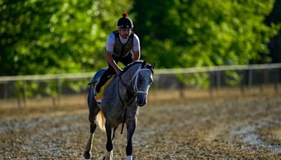 Seize the Grey wins the Preakness for D. Wayne Lukas and ends Mystik Dan’s Triple Crown bid