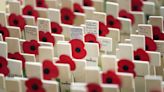 Armistice Day: What is the history behind the Remembrance commemoration?