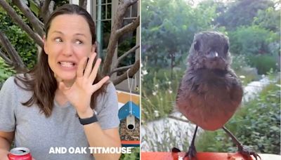 Jennifer Garner Jokingly Starts Bird ‘Modeling Agency’ After Becoming a Bird Watcher: ‘They’re Gorgeous'