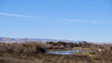 A ranch, rewilded: The successful transformation of California's next state park through floodplain restoration