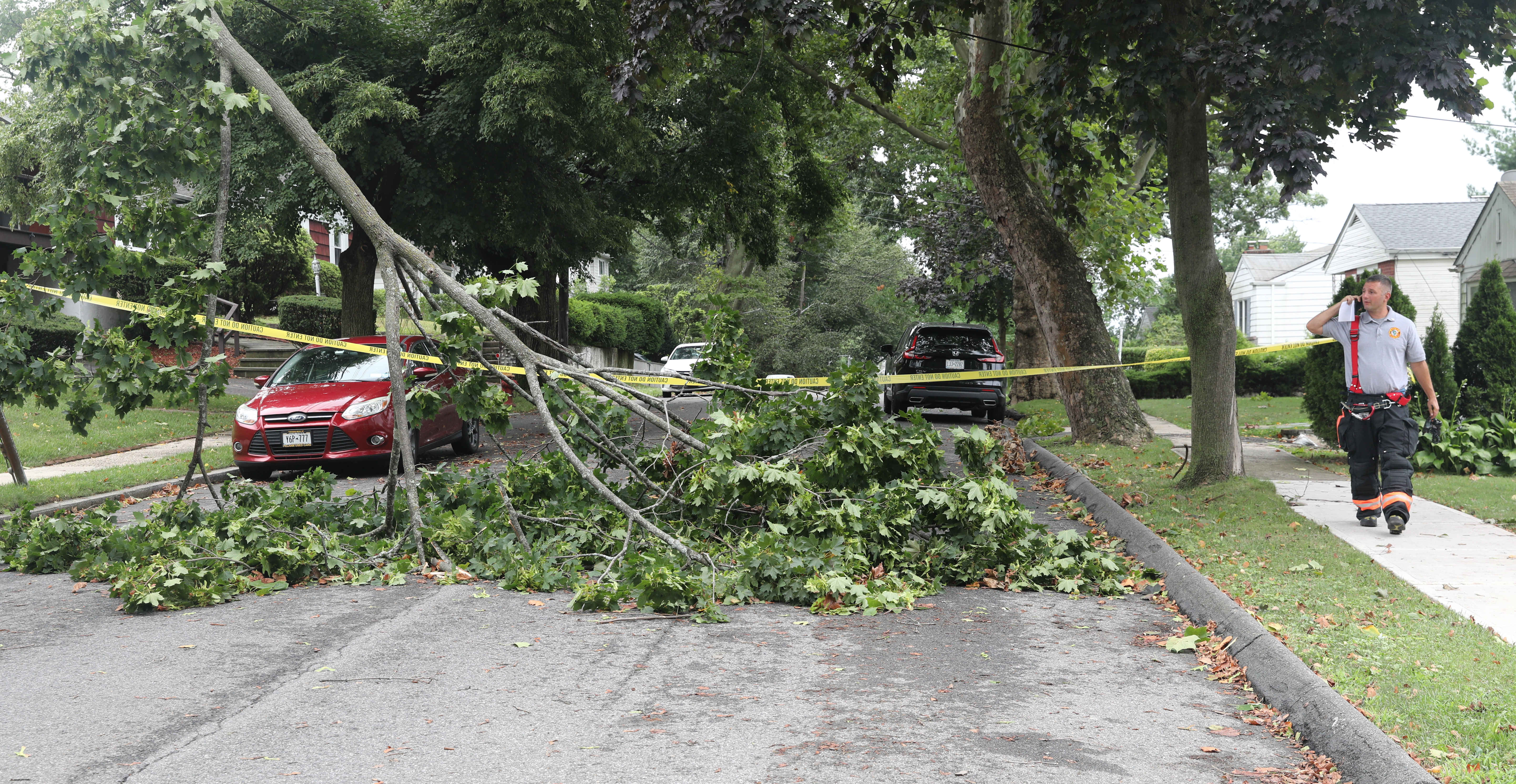 Weather: Debby topples trees in Hudson Valley, delays flights in NYC