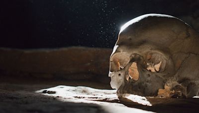 A Million-Year-Old Skull Could Prove the Dragon Man's Direct Line to Humans