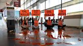 Who are the climate protesters targeting European airports?