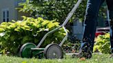 5 reasons why I bought a push lawnmower on Prime Day