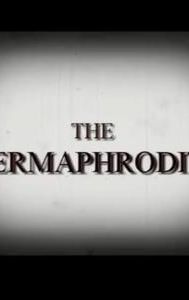 The Hermaphrodite