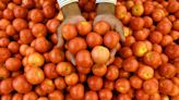 In India, Tomatoes Are Now More Expensive Than Gas. Here's Why