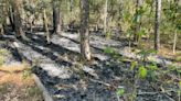 NC officials seeking info on Outer Banks wildfires at Lost Colony historic site