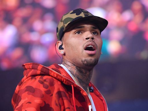 Chris Brown loses cool after being stuck in midair during concert