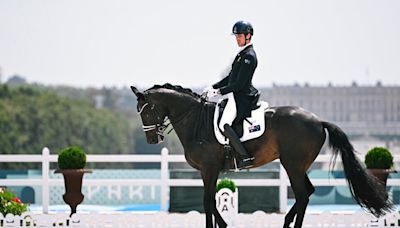 Equestrian Is Having an Uncomfortable Moment. Its Olympic Horses Are Not.