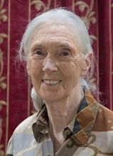 Jane Goodall