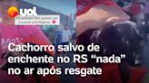 Rio Grande do Sul: Cachorro salvo de enchente fica 'nadando' no ar após resgate; assista vídeo