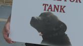 ‘Justice for Tank’: Man sentenced in animal cruelty case, animal activist speaks out