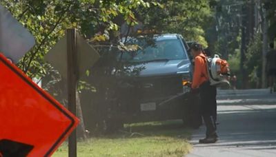 Baltimore City leaders are considering a gas-powered leaf blower ban. Here's why.