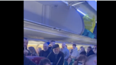 Passengers perform traditional Irish music on flight