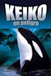 Keiko en peligro