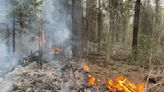 Superior National Forest wildfire is 75% contained