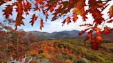 Adirondacks fall foliage 2023: Where to see best colors this weekend