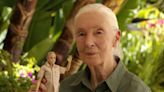 Barbie unveils new Dr Jane Goodall doll in honour of the conservationist