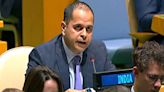 "Baseless, Deceitful Narratives": India Hits Back At Pak On Kashmir At UN